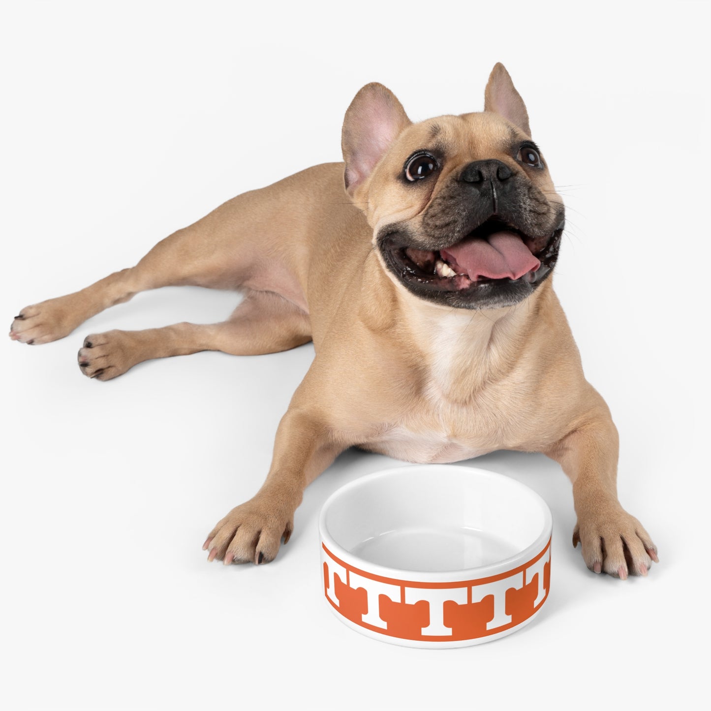 Tennessee Pet Bowl