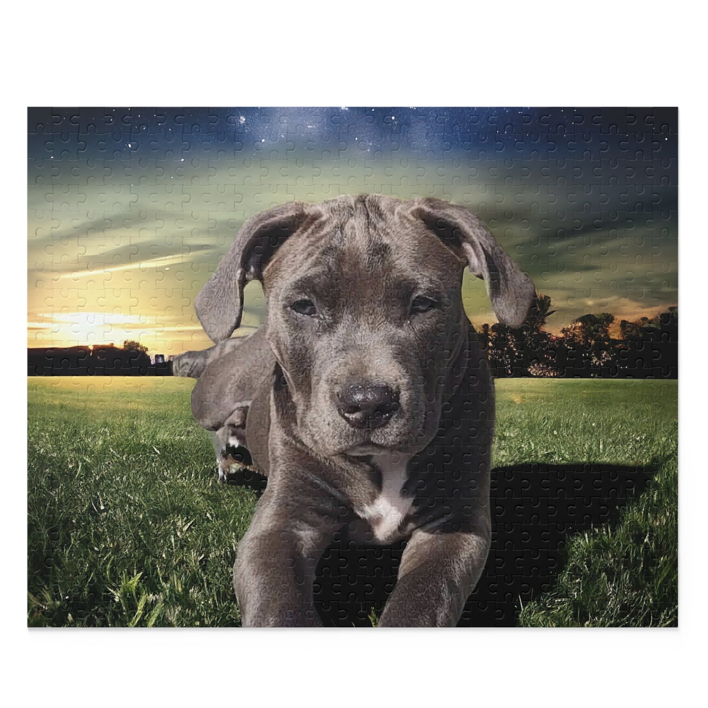 Pet Puzzle - Custom (120, 252, 500-Piece)