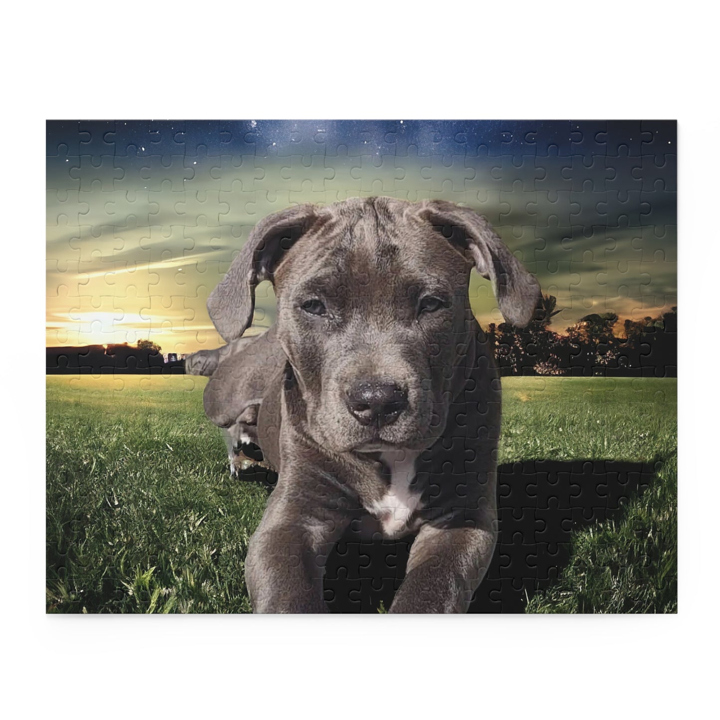 Pet Puzzle - Custom (120, 252, 500-Piece)
