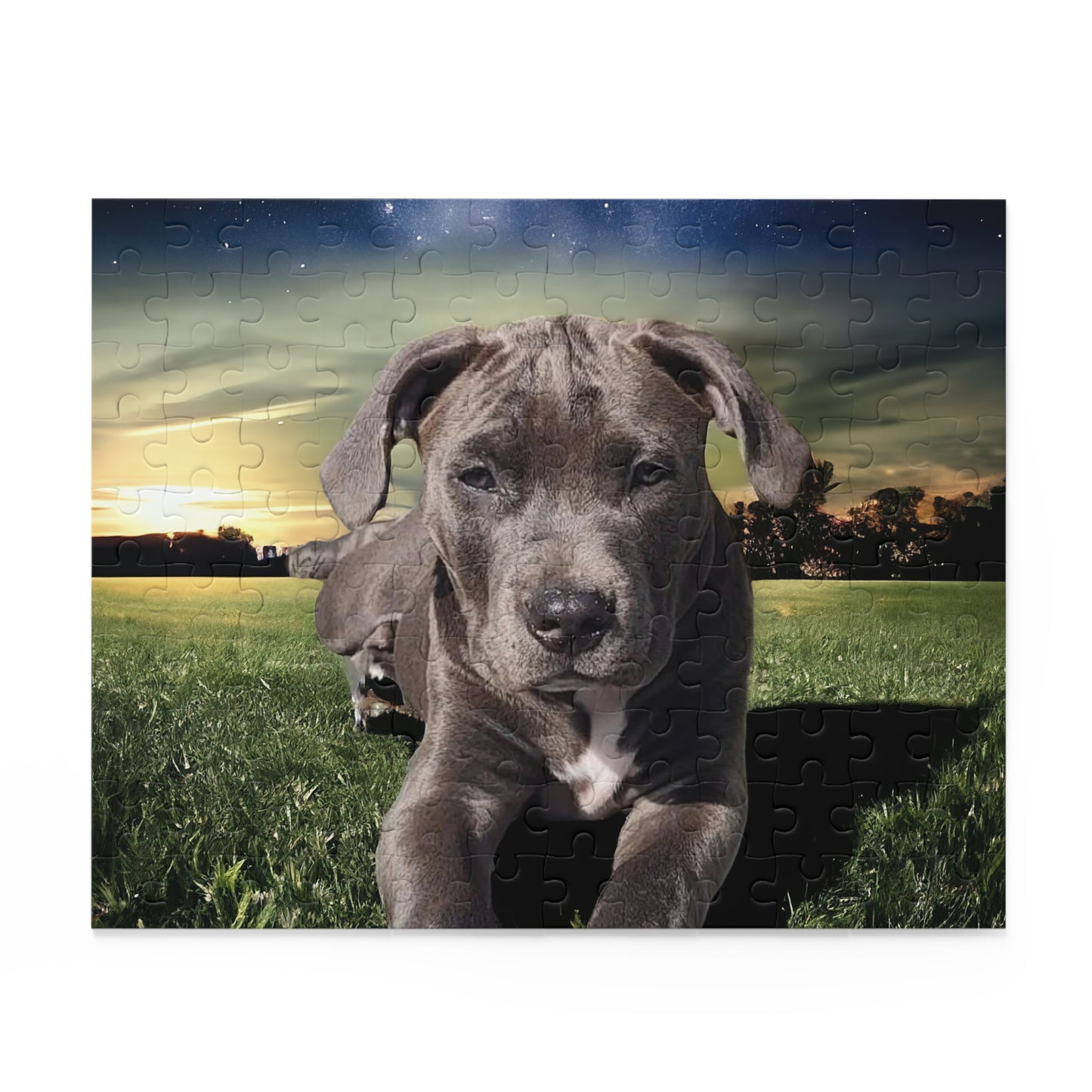 Pet Puzzle - Custom (120, 252, 500-Piece)