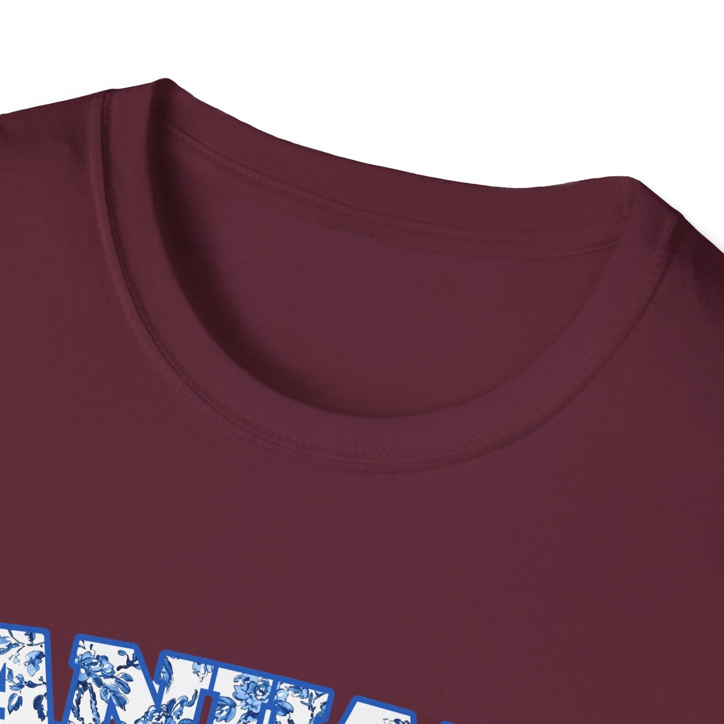 January Class of 2027 T-Shirt, Graduation Tee, School Spirit Wear, Unisex Trendy Shirt, Back to School Apparel, Birthday Gift