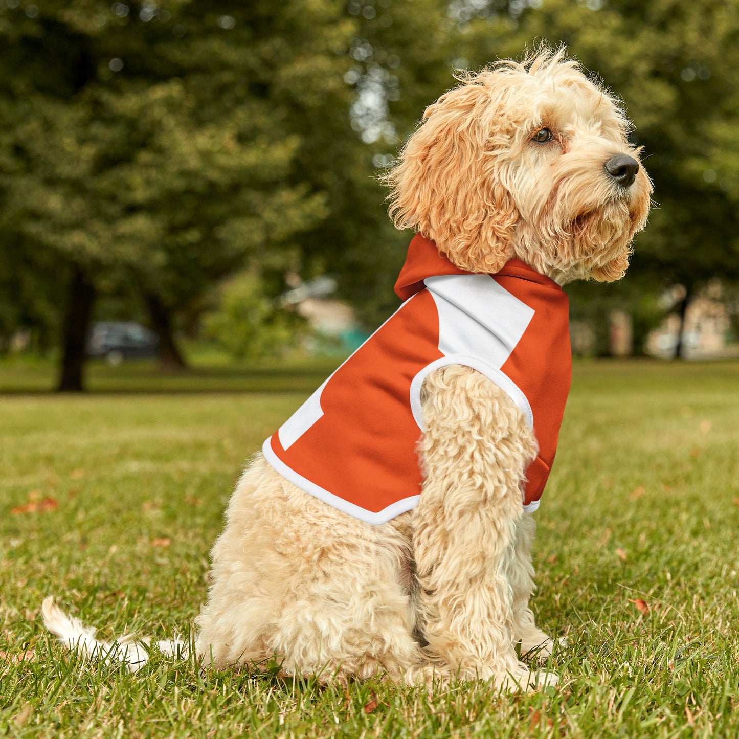 Tennessee Pet Hoodie