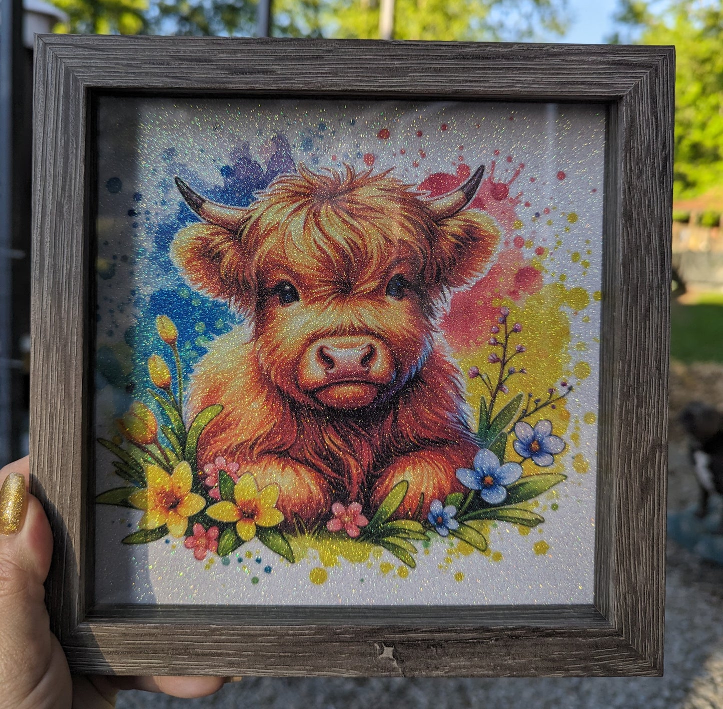Colorful Highland Cow Shadow Box